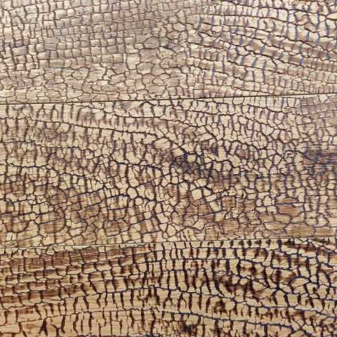 Rovere inciso carbonizzato biondo oro